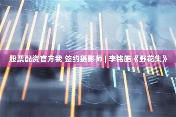 股票配资官方我 签约摄影师 | 李铭皓《野花集》